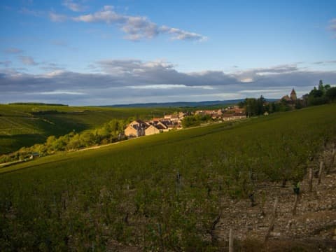 Couvreur Courgis